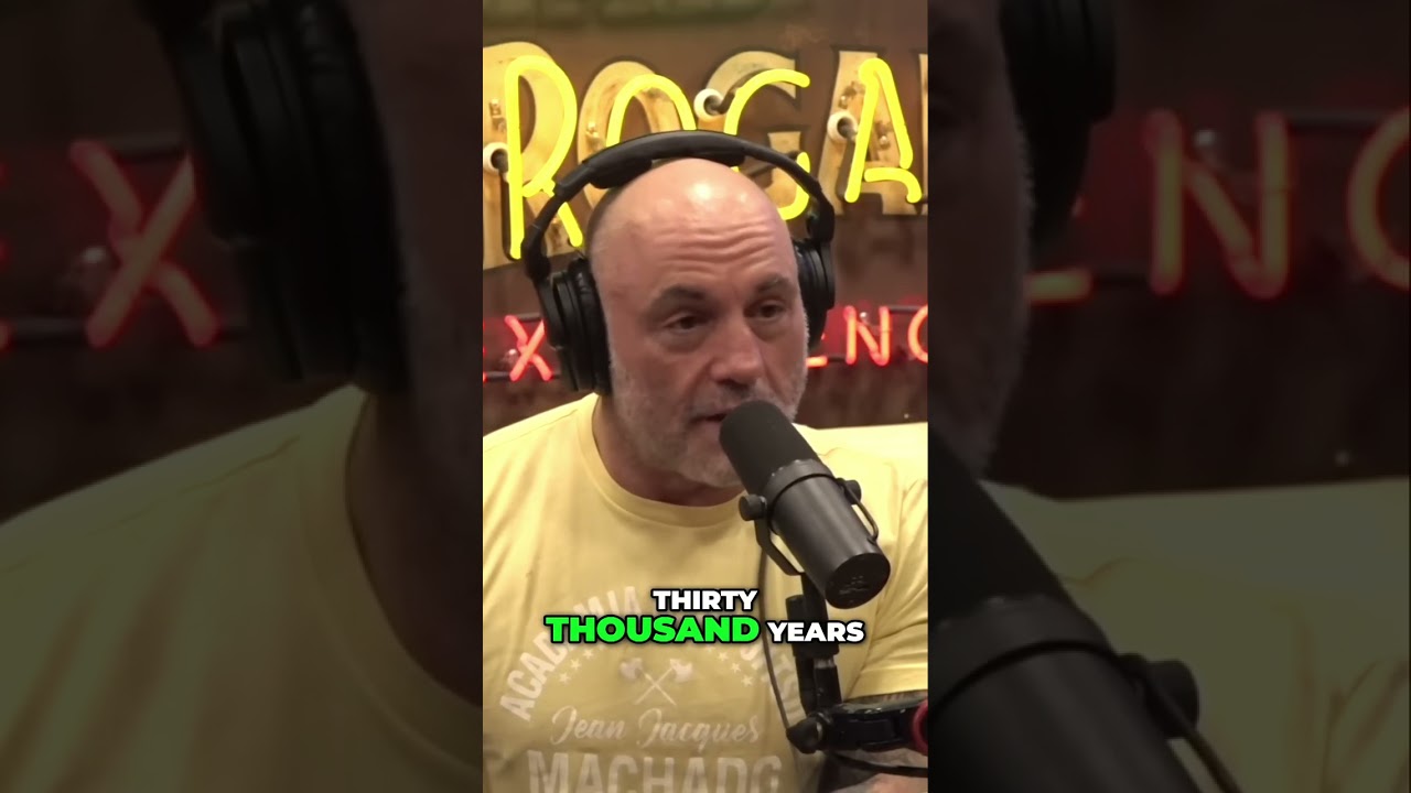 The Evolution of Martial Arts