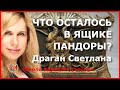 Что осталось в Ящике Пандоры? Драган Светлана