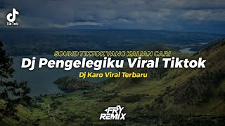 Dj Pengelegiku Viral Tiktok - Iche Br Ginting || Ini Sound Tiktok Yang Kalian Cari || FRY REMIX