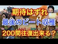 期待はずれ【最後のビート収穫】200間往復出来る?