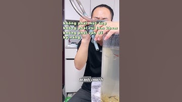 Bơm Tay Thay Nước Hồ Cá Siêu Nhanh #BomTayThayNuoc #BeCaTrong #ThayNuocNhanh