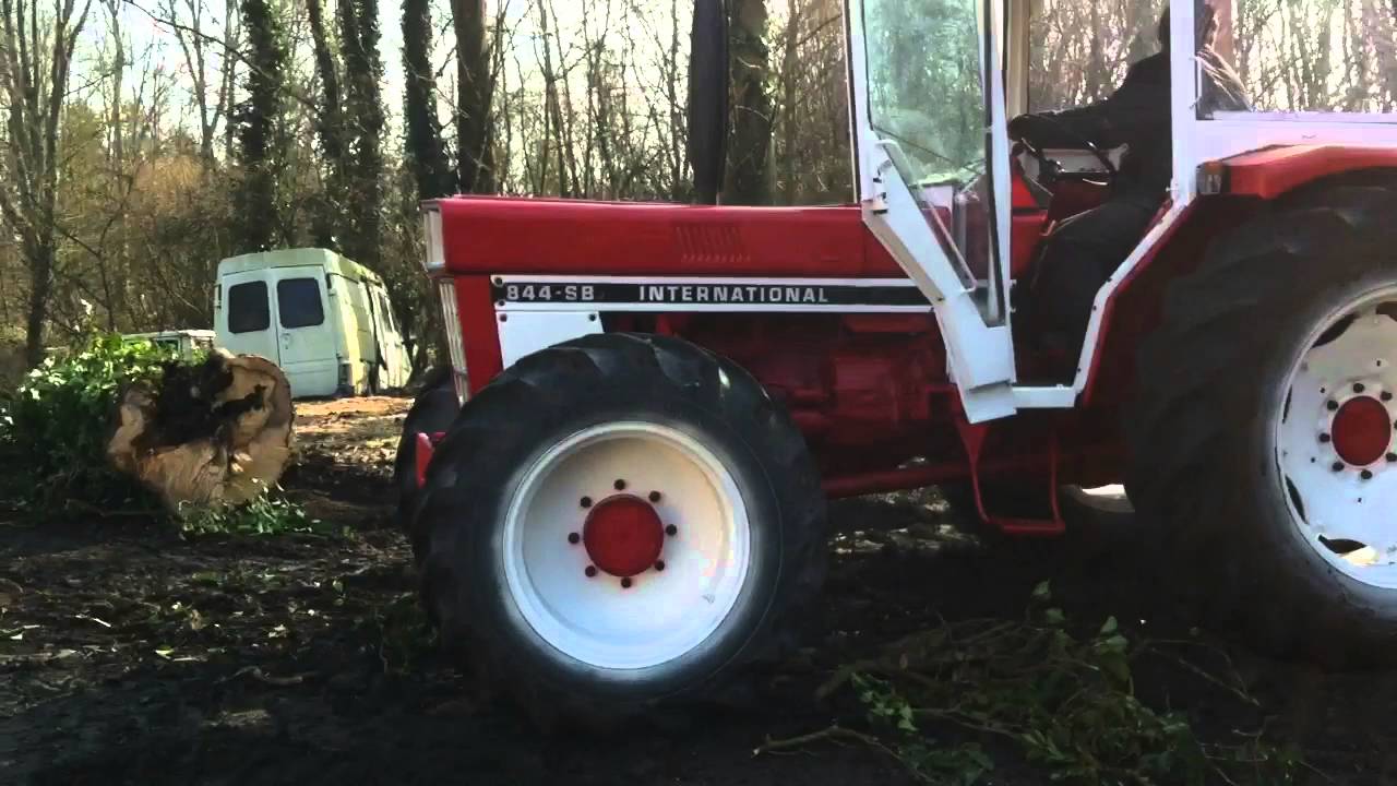 abattage d un arbre le 844 a l action