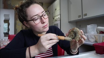 Fossil Friday Ep 15 - EmGems