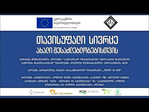 ქართული ჩაის რეაბილიტაციის პროგრამა, ადგილობრივი ბაზარი და საექსპორტო პოტენციალი