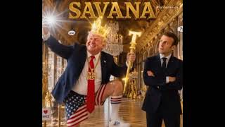 Donald le Pique Assiette