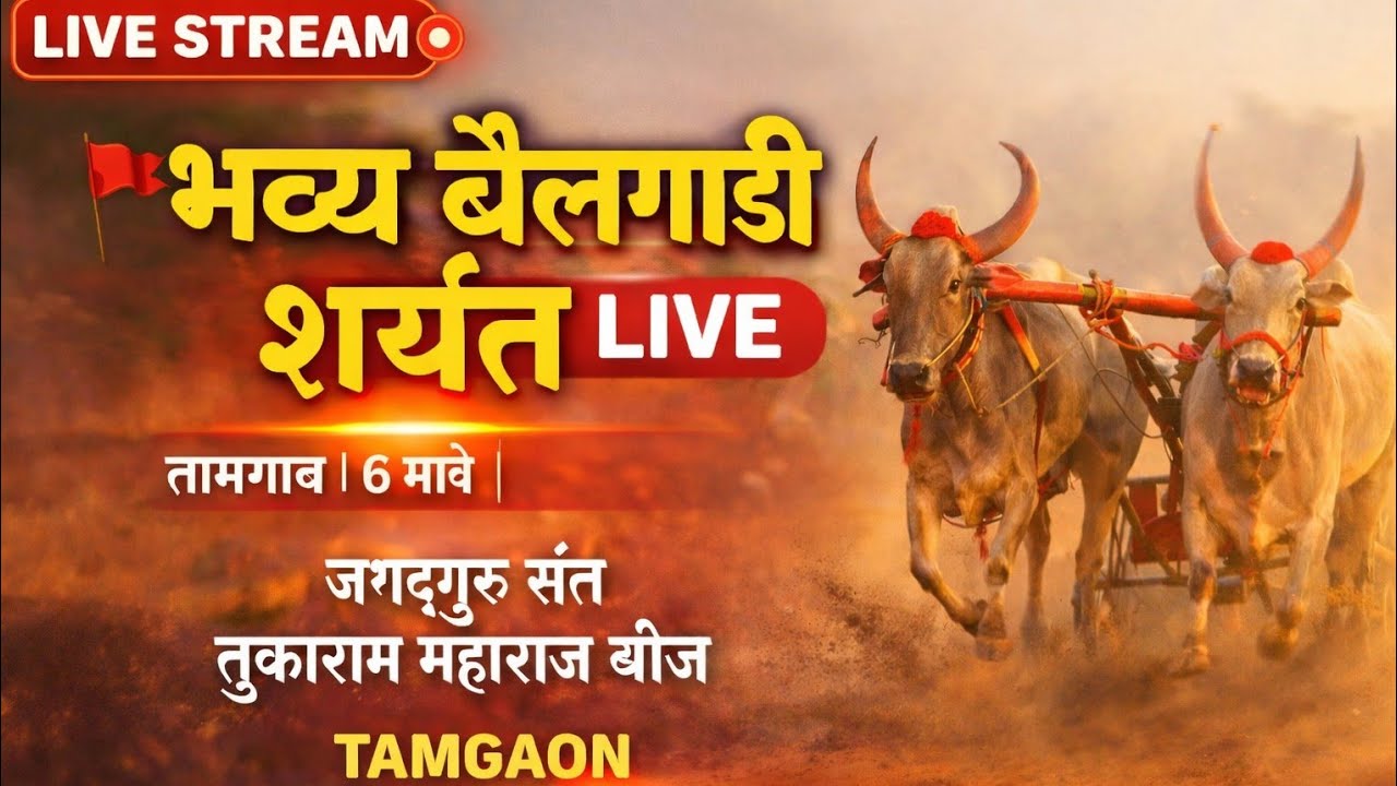 तामगाव भव्य बैलगाडी शर्यत LIVE | Sant Tukaram Maharaj Beej 2026 | Tamgaon Bailgada Sharyat