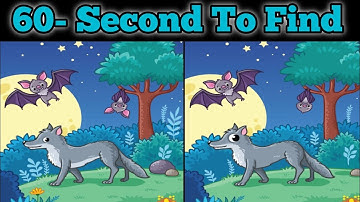 🧠 60 Seconds to Find the Hidden Differences!"🧩