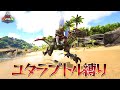 【ARK看板恐竜】ARK界のメントスコーラこと「ラプトル縛り」でアイランドを攻略します！！（生身高Lvテイム編）【アイランド】【独立ARK】【Ark: Survival Evolved】#35