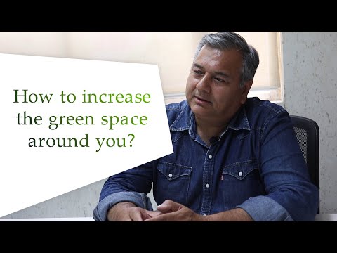 Comment augmenter l'espace vert autour de vous?