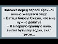 Вовочка Перед Первой Брачной Ночью Жалуется Отцу! Сборник Свежих Анекдотов! Юмор!