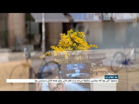 گل میموزا نماد روز جهانی زن در ایتالیا