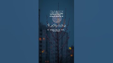 #سورة_النمل #القران_الكريم #القرآن_الكريم #رمضانمبارك #المصحف #اكسبلور #القزابري #duet #الرحمن #لايك