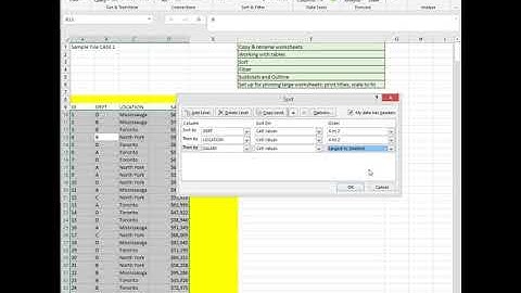 Microsoft Excel: Copy Worksheets, Sort, Filter, Subtotal, Outline