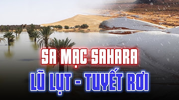 SA MẠC SAHARA NGẬP LỤT CHƯA TỪNG THẤY, TUYẾT RƠI PHỦ TRẮNG NHƯ NGÀY TẬN THẾ