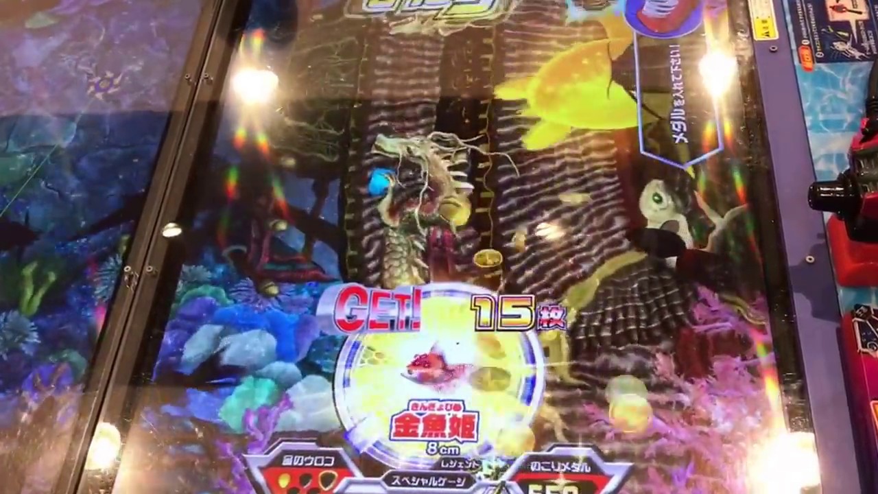 釣りスピリッツ 金魚姫多めからの将軍ウミサソリget Youtube 釣りスピリッツ 金魚姫多めからの将軍ウミサソリget Youtube