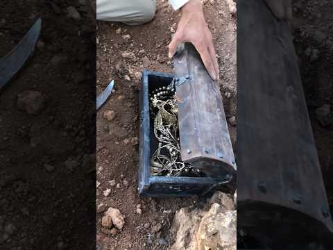العثور على صندوق من ذهب الخالص في غابة مهجورة كنوز
