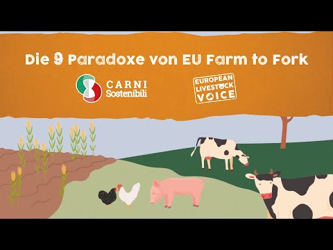 Die 9 Paradoxe