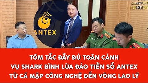 Tóm Tắt Toàn Cảnh Vụ Shark Bình Lừa Đảo Tiền Số ANTEX – Từ Cá Mập Công Nghệ Đến Vòng Lao Lý!