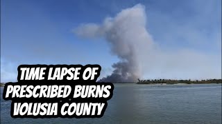 Prescribed Burn In Volusia County Florida