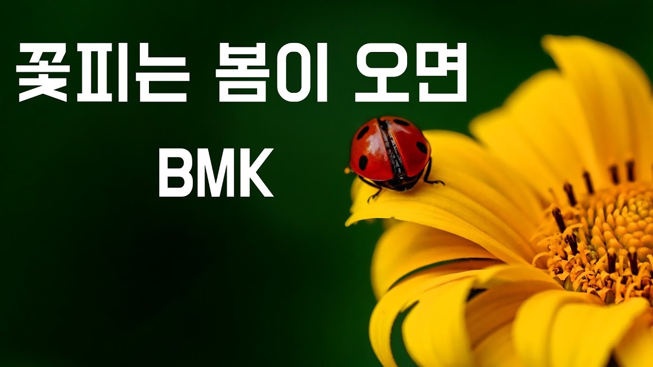 꽃피는 봄이 오면 - Bmk(2005, 가사포함) - Youtube