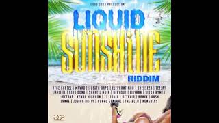 Teejay - Climb On It Liquid Sunshine Riddim