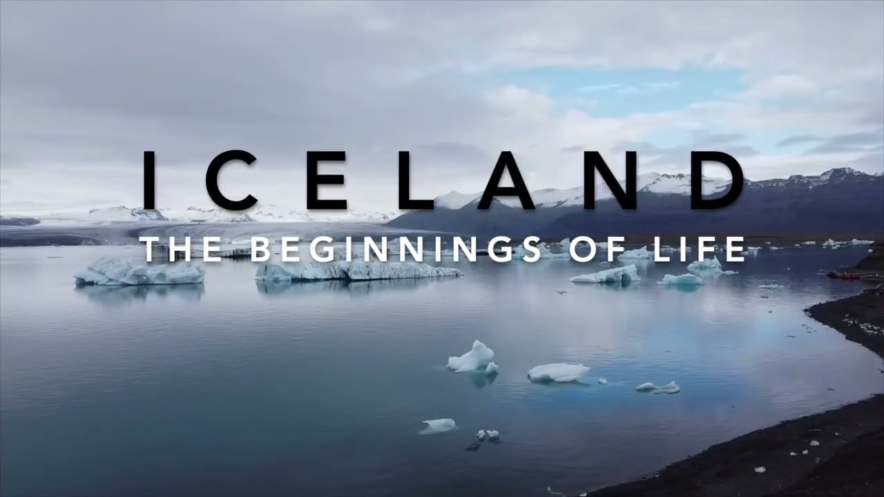 Iceland | Stunning Scenery | Epic Wildlife | Northern Lights