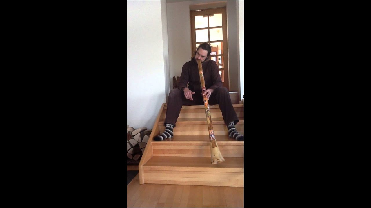 Eukalyptus Didgeridoo 2. Wahl