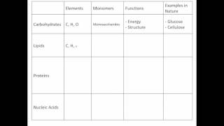 Macromolecules Review