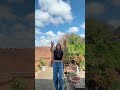 #tiktok #reels #shortvideo #creatorsearchinsights