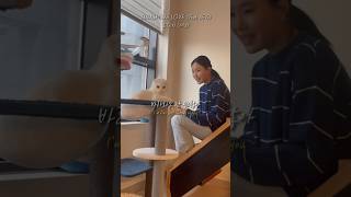   Sunshine Lovesten   Sunshine Love feat Se O 