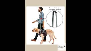 Adjustable Dog Support Harness for Front and Rear Legs Lifting Rehabilitation Vest for Old Dogs w...