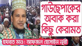 গাউছেপাকের অবাক করা কিছু কেরামত ।। হযরত মাও: আফজল হোসাইন নূরী ।। Afgol Hossain Nori