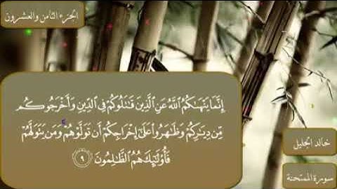 القرآن الكريم | 60- سورة الممتحنة | بصوت القارئ خالد الجليل