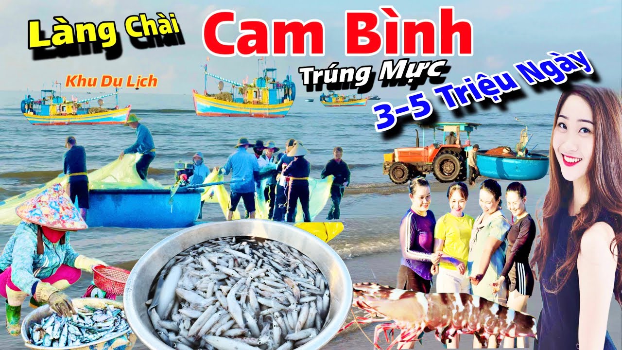 Làng Chài Bãi Tắm Cam Bình bất ngờ sóng yên gió lặng Bà Con trúng mực, mỗi người lụm mấy triệu