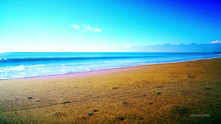 4k UHD Tropical Beach Palm Trees on a Island | Ocean Sounds | Ocean Waves | White Noise for Sleeping