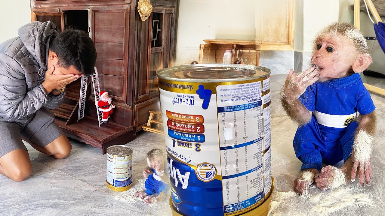 Jobi Drinks Milk In His Own Way | An Adorable Moment ✅