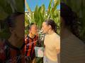 MOVE THE FLOUR TRY NOT TO LAUGH ЁЯШЖ Shorts MOVE THE FLOUR TRY NOT TO LAUGH ЁЯШЖ Shorts