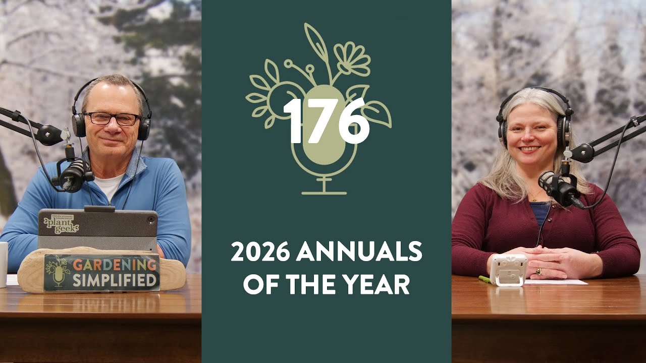 Лучшие ежегодные издания 2026 года | 176