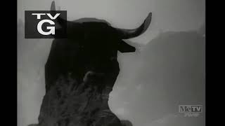 Rawhide Opening (Partial) and Closing (1964) | Viacom “V of Steel” (1986)