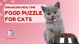 Food Puzzles for Cats: Enhancing Mealtime Stimulation by Meow Mastery 6 views 2 months ago 4 minutes, 50 seconds