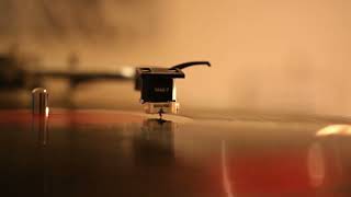 Blue Stew  Bringing Home The Blues