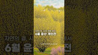 [MILITOPIA HOTEL] NATURE IN FOUR SEASONS, 윤산 | 전시회