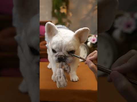 Freeze Tender Moments With Wool Felt Photo Frame Custom Wool Felt Petwww Woolfeltedpet Com