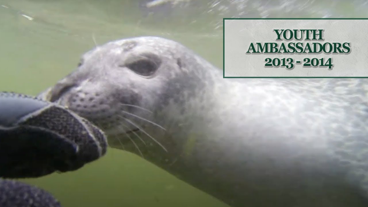 Colin and Julia go to Forillon National Park