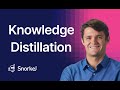 Knowledge Distillation Demystified: Techniques and Applications