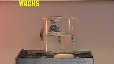 Anomaly Density of Water