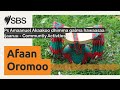 Ps Amaanuel Akaakoo Dhimma Galma Hawaasaa Ijaaruu Communtiy Activties SBS Afaan Oromoo