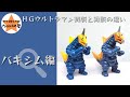 【解説】HG初版と再販の違い　バキシム