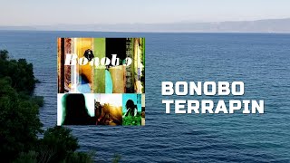 Terrapin - Bonobo