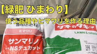 【緑肥 ひまわり】使う品種やヒマワリを作る理由 2020/4/7